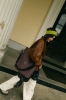 image00005.jpeg